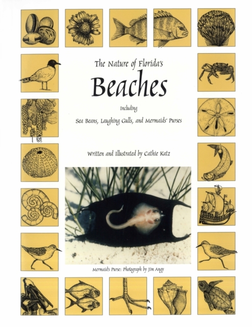 The Nature of Florida's Beaches : Including Sea Beans, Laughing Gulls and Mermaids' Purses, Paperback / softback Book