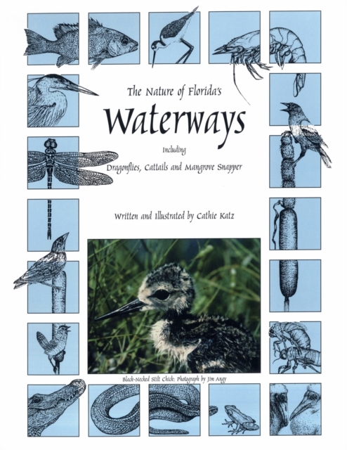 The Nature of Florida's Waterways : Including Dragonflies, Cattails, and Mangrove Snapper, Paperback / softback Book