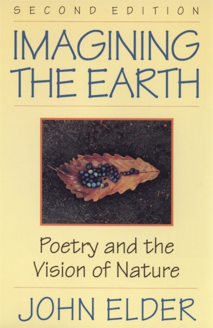 Imagining the Earth : Poetry and the Vision of Nature, Paperback / softback Book