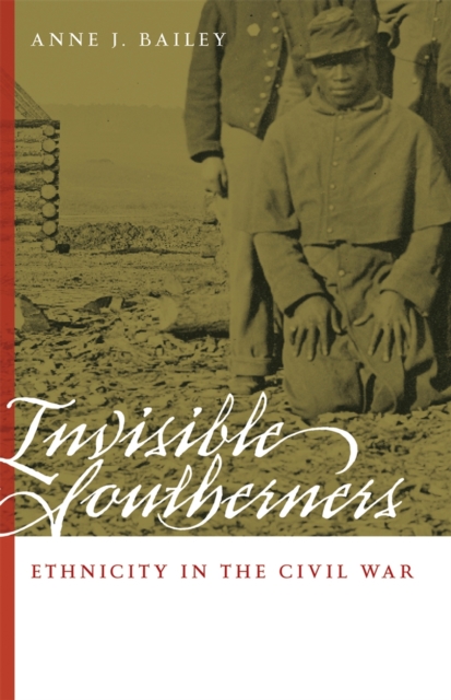 Invisible Southerners : Ethnicity in the Civil War, Hardback Book