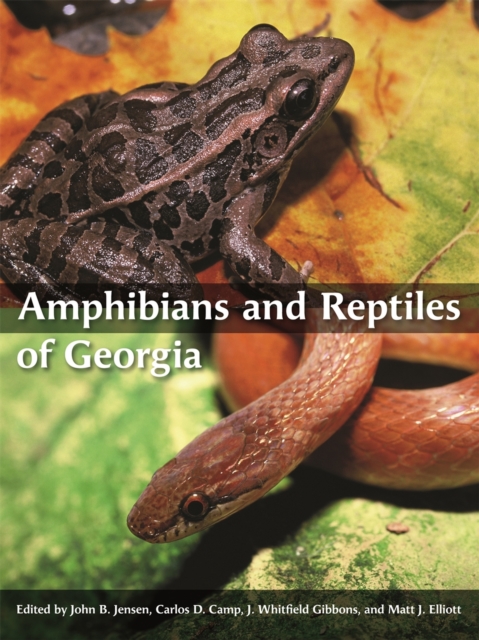 Amphibians and Reptiles of Georgia, Paperback / softback Book