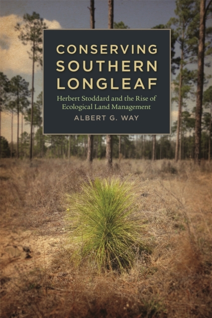 Conserving Southern Longleaf : Herbert Stoddard and the Rise of Ecological Land Management, Hardback Book