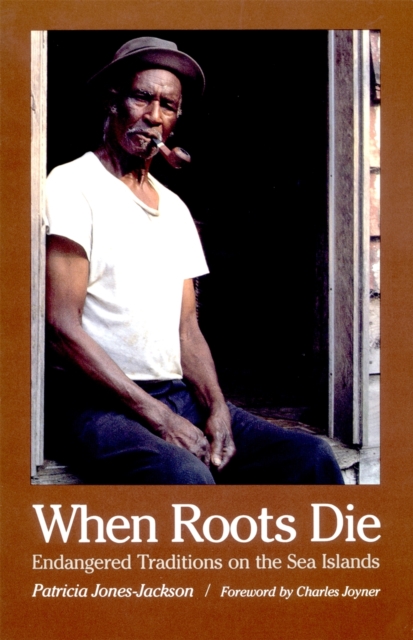 When Roots Die : Endangered Traditions on the Sea Islands, PDF eBook