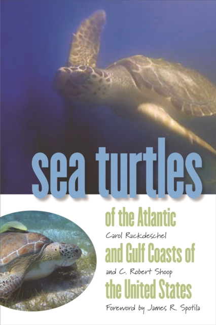 Sea Turtles of the Atlantic and Gulf Coasts of the United States, PDF eBook