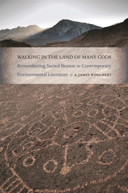 Walking in the Land of Many Gods : Remembering Sacred Reason in Contemporary Environmental Literature, Paperback / softback Book