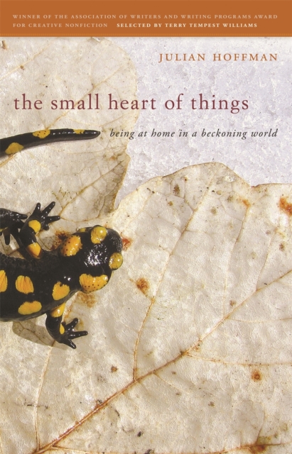 The Small Heart of Things : Being at Home in a Beckoning World, Paperback / softback Book