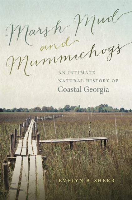 Marsh Mud and Mummichogs : An Intimate Natural History of Coastal Georgia, Hardback Book