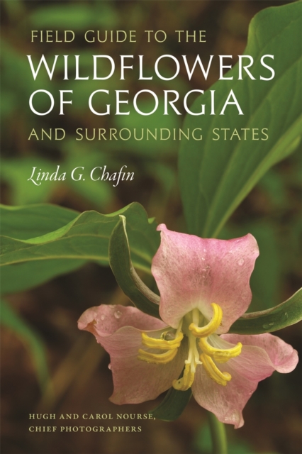 Field Guide to the Wildflowers of Georgia and Surrounding States, Paperback / softback Book