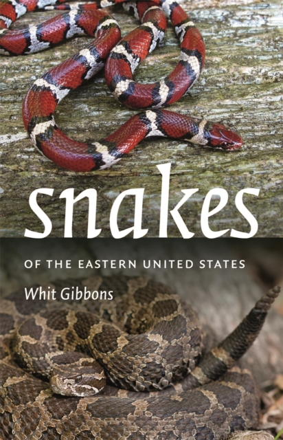 Snakes of the Eastern United States, Paperback / softback Book