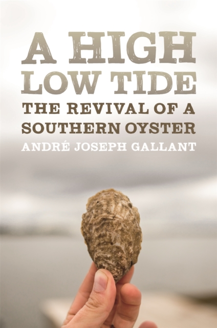 A High Low Tide : The Revival of a Southern Oyster, Hardback Book