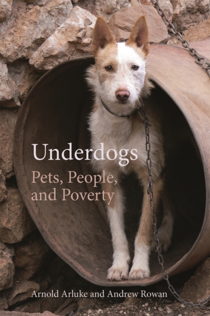 Underdogs : Pets, People, and Poverty, Paperback / softback Book