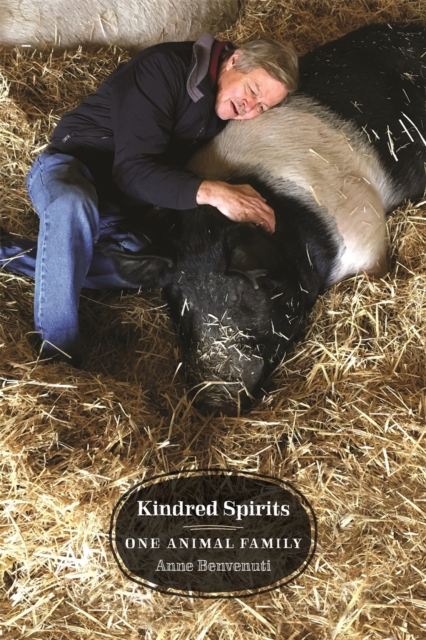 Kindred Spirits : One Animal Family, Paperback / softback Book