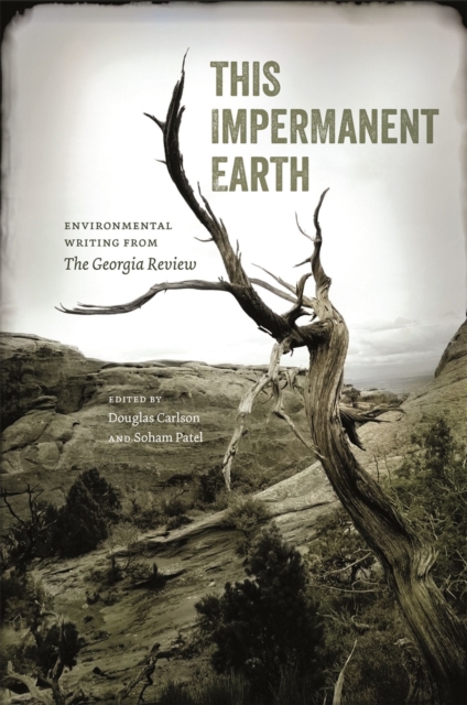 This Impermanent Earth : Environmental Writing from The Georgia Review, Hardback Book