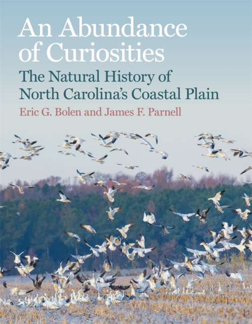 An Abundance of Curiosities : The Natural History of North Carolina’s Coastal Plain, Hardback Book