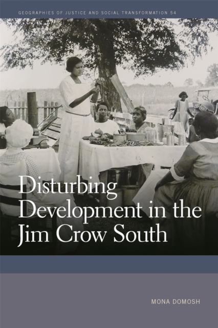 Disturbing Development in the Jim Crow South, EPUB eBook