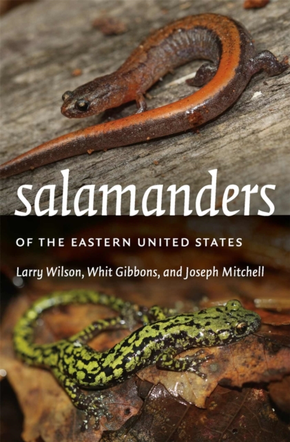 Salamanders of the Eastern United States, Paperback / softback Book