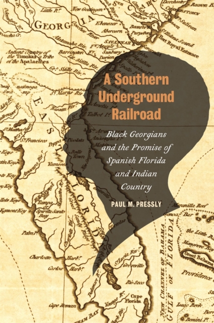 A Southern Underground Railroad : Black Georgians and the Promise of Spanish Florida and Indian Country, Hardback Book