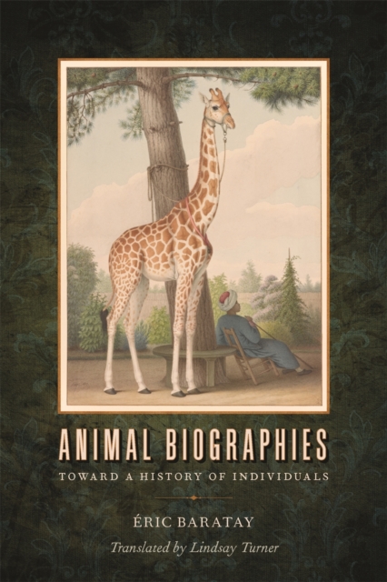 Animal Biographies : Toward a History of Individuals, PDF eBook