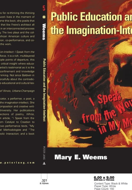 Public Education and the Imagination-Intellect : I Speak from the Wound in My Mouth, Paperback / softback Book