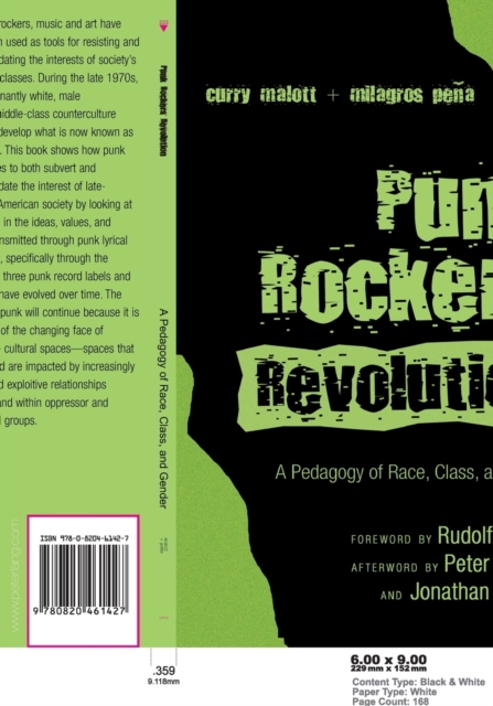 Punk Rockers' Revolution : A Pedagogy of Race, Class, and Gender, Paperback / softback Book