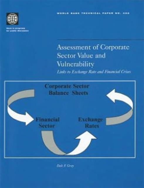 Assessment of Corporate Sector Value and Vulnerability : Links to Exchange Rate and Financial Crises, Paperback Book