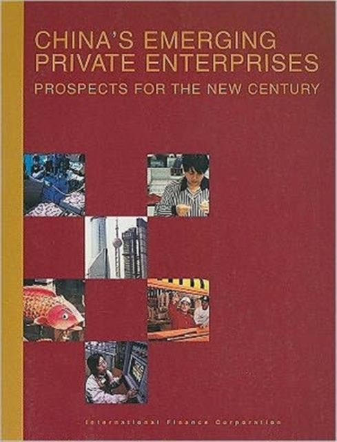 China's Emerging Private Enterprises : Prospects for the New Century, Paperback / softback Book