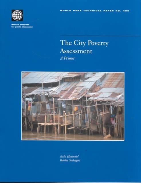 The City Poverty Assessment : A Primer, Paperback / softback Book