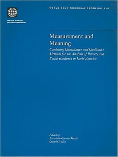 Measurement and Meaning : Combining Quantitative and Qualitative Methods for the Analysis of Poverty and Social Exclusion in Latin America, Paperback / softback Book