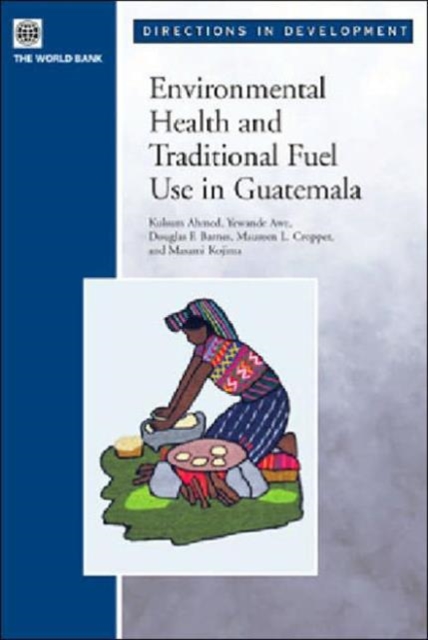 Environmental Health and Traditional Fuel Use in Guatemala, Paperback Book