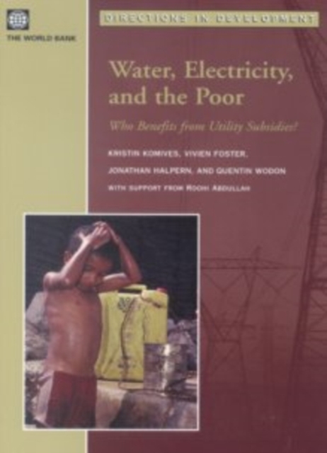 Water, Electricity, and the Poor : Who Benefits from Utility Subsidies?, Paperback / softback Book