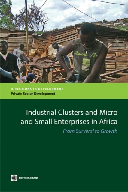 Industrial Clusters and Micro and Small Enterprises in Africa : From Survival to Growth, Paperback / softback Book