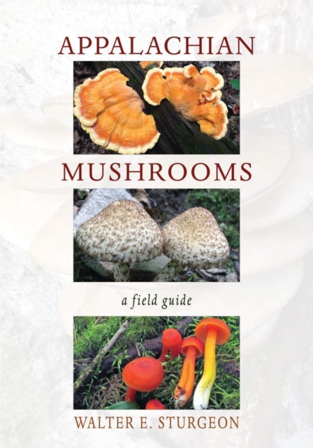 Appalachian Mushrooms : A Field Guide, Paperback / softback Book