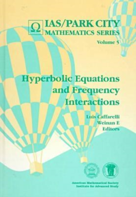 Hyperbolic Equations and Frequency Interactions, Hardback Book
