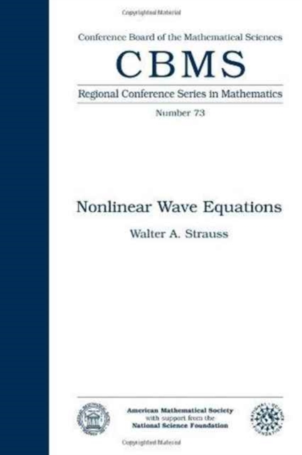 Nonlinear Wave Equations Selected Expanded Lectures : Regional Conference, Paperback / softback Book