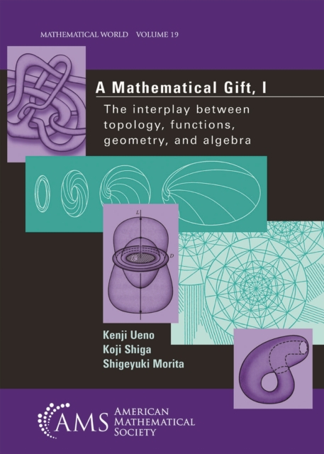 A Mathematical Gift, Volume 1 : The Interplay Between Topology, Functions, Geometry, and Algebra, Paperback / softback Book