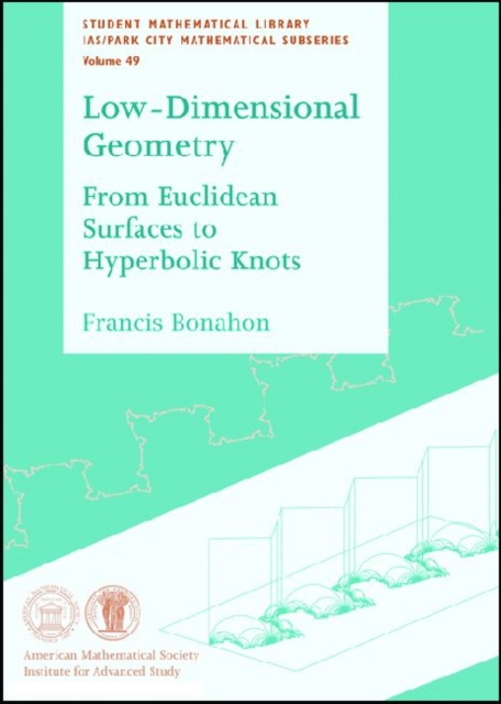 Low-dimensional Geometry : From Euclidean Surfaces to Hyperbolic Knots, Paperback / softback Book