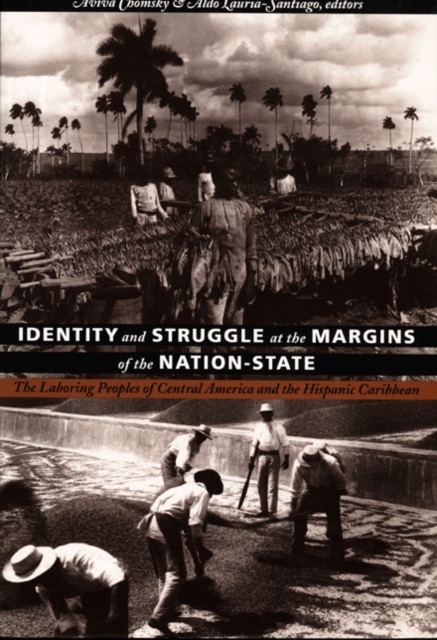Identity and Struggle at the Margins of the Nation-State : The Laboring Peoples of Central America and the Hispanic Caribbean, Hardback Book