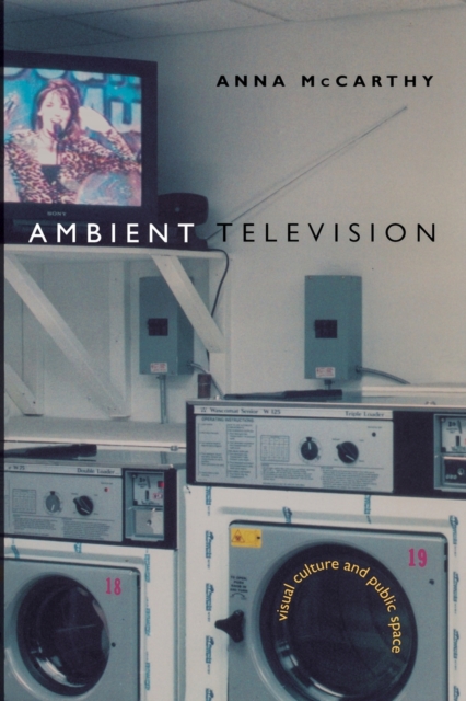 Ambient Television : Visual Culture and Public Space, Paperback / softback Book