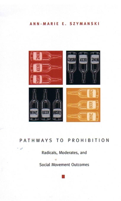 Pathways to Prohibition : Radicals, Moderates, and Social Movement Outcomes, Paperback / softback Book