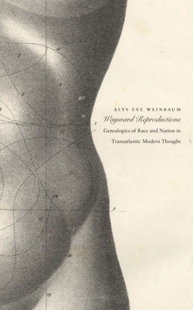 Wayward Reproductions : Genealogies of Race and Nation in Transatlantic Modern Thought, Hardback Book
