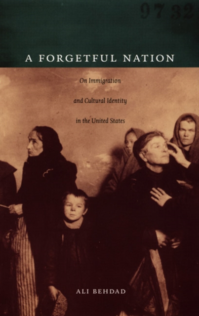 A Forgetful Nation : On Immigration and Cultural Identity in the United States, Paperback / softback Book