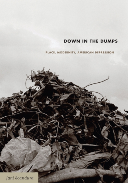 Down in the Dumps : Place, Modernity, American Depression, Hardback Book