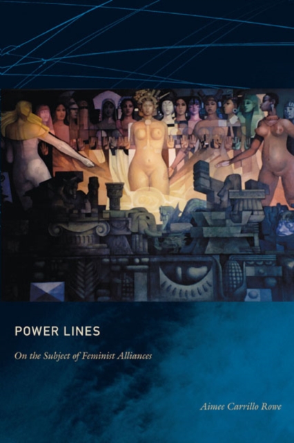Power Lines : On the Subject of Feminist Alliances, Hardback Book
