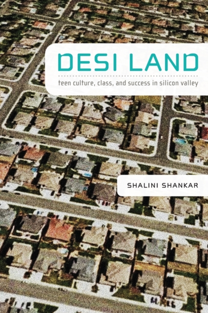 Desi Land : Teen Culture, Class, and Success in Silicon Valley, Paperback / softback Book