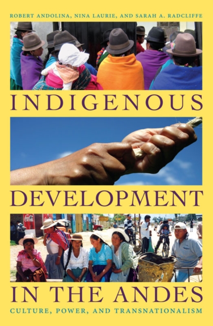 Indigenous Development in the Andes : Culture, Power, and Transnationalism, Hardback Book