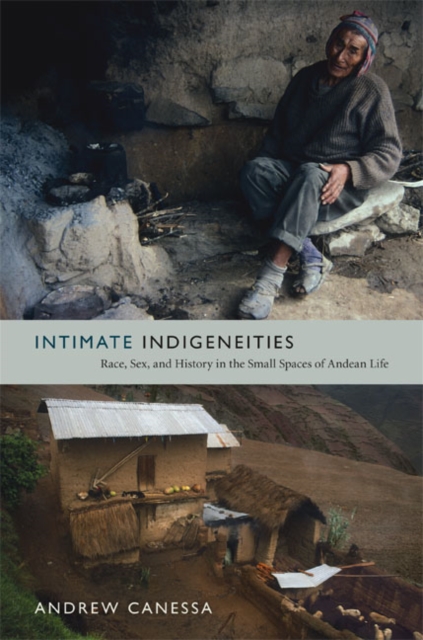 Intimate Indigeneities : Race, Sex, and History in the Small Spaces of Andean Life, Hardback Book