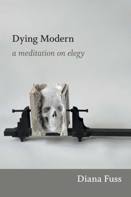 Dying Modern : A Meditation on Elegy, Paperback / softback Book