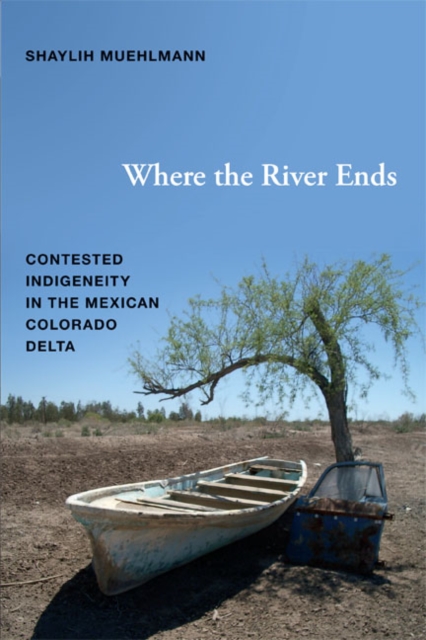 Where the River Ends : Contested Indigeneity in the Mexican Colorado Delta, Paperback / softback Book