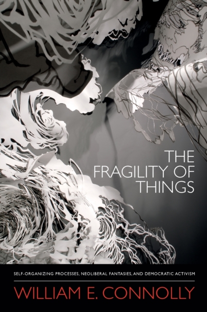 The Fragility of Things : Self-Organizing Processes, Neoliberal Fantasies, and Democratic Activism, Paperback / softback Book