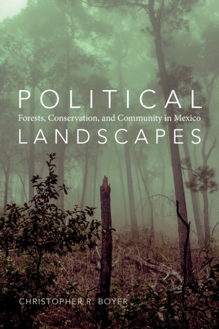 Political Landscapes : Forests, Conservation, and Community in Mexico, Paperback / softback Book